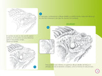 Load image into Gallery viewer, Aula Creativa 5
