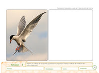 Load image into Gallery viewer, Aula Creativa 8
