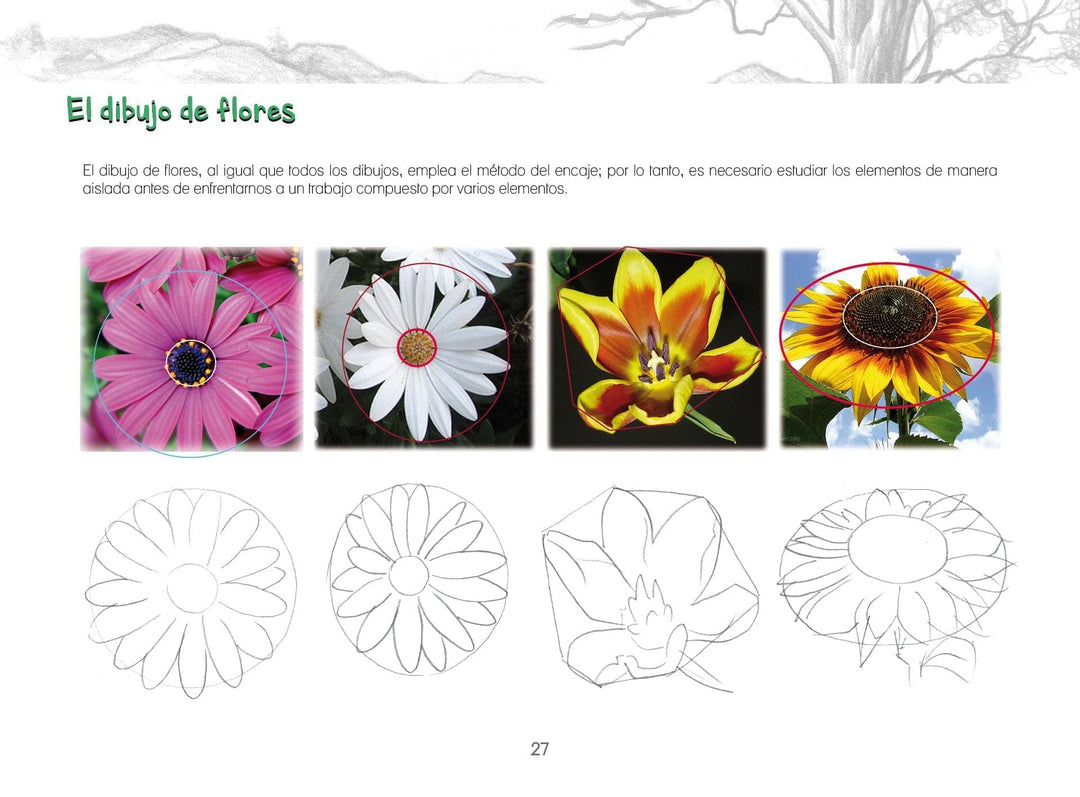 Aula Creativa 8