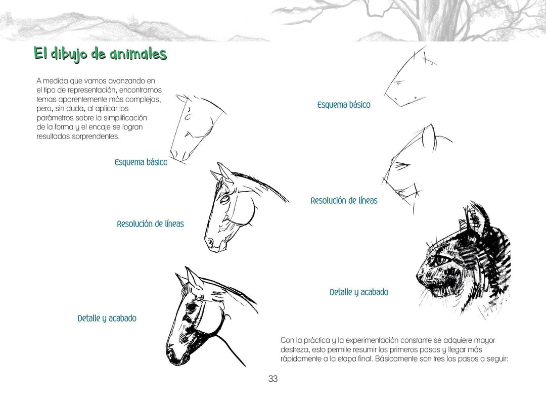 Aula Creativa 8