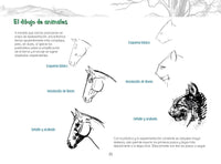 Load image into Gallery viewer, Aula Creativa 8
